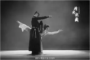 大型原创舞剧精忠报国精彩剧照