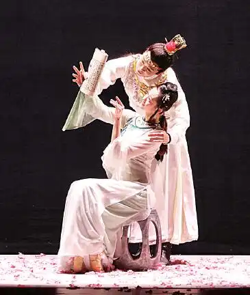 以青春视角致敬文学经典观原创民族舞剧红楼梦