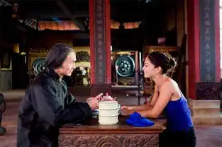 影片街头霸王27
