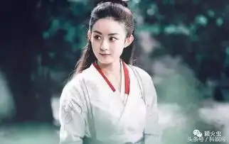 赵丽颖携知否你和我的倾城时光,备战今年下半场

