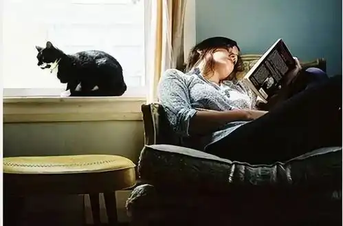 黄山荣盛有你有礼的冬日时光
