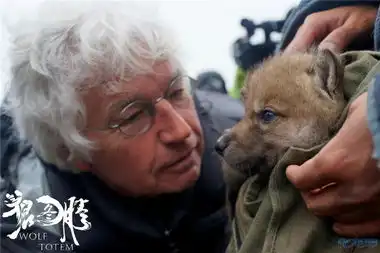 华语史诗巨制狼图腾曝光了一组小狼剧照,狼爸冯绍峰曾想收养