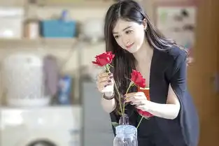 欢乐颂引发新一波全民追剧热潮
