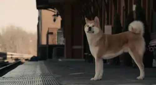 假期最后一天,和电影才最配哦