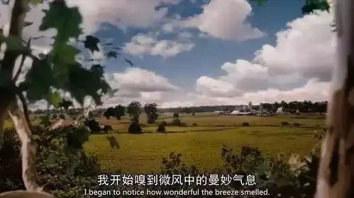 flipped电影节选美如画的青春回忆脚本
