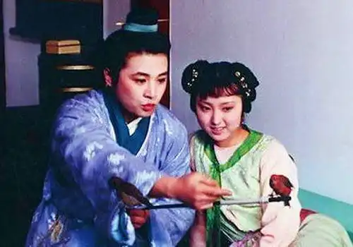 若不是情悟梨香院,宝玉真个是见了姐姐,就把妹妹忘了
