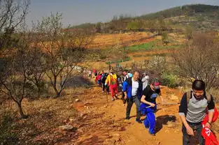 电影闪闪的红星再现满山开遍映山红
