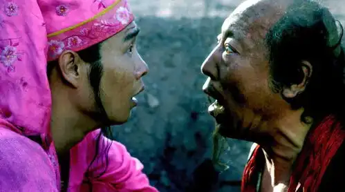 学贾冰花1亿拍电影,2天票房仅1140万,小沈阳新片问题在哪
