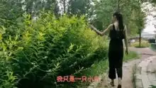 一首太炫的勇敢的心句句扎心,网友循环播放
