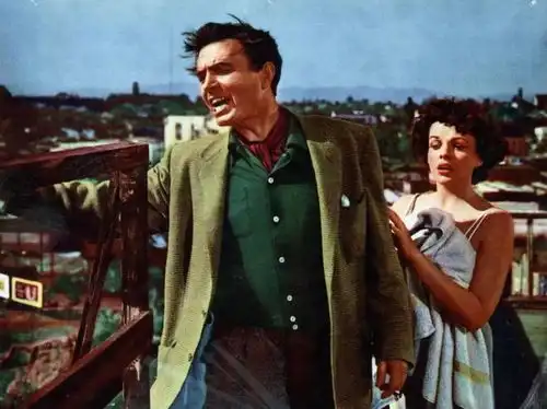 为一个伟大的导演正名