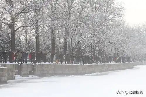颐和园赏雪景
