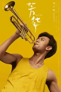 电影芳华高清无水印海报大图
