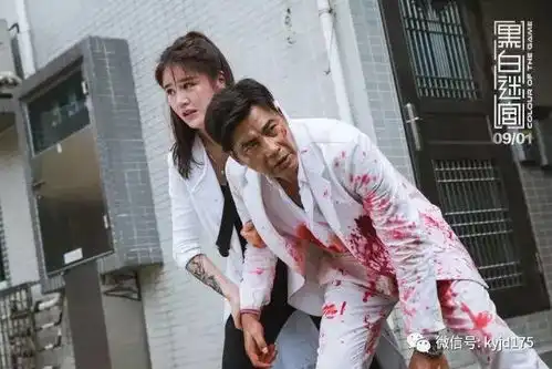 完美电影黑白迷宫黑白江湖人性迷宫
