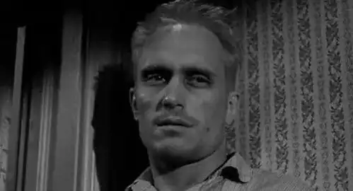 经典阅读杀死一只知更鸟愿你我都做一个勇敢的人
