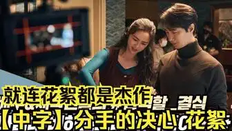 哪个大天才字幕组译这个分手的决心