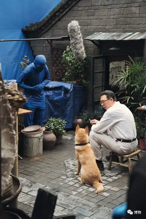 为把你弄哭,十八只狗在努力工作
