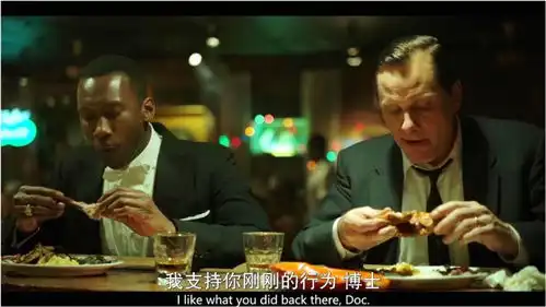 绿皮书混剪种族歧视下的美国,黑人与白人的相互救赎

