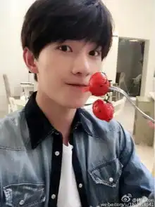 杨洋岳云鹏杨幂唐嫣何炅萧敬腾李易峰胡歌明星自拍达人
