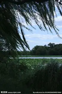 颐和园风景图片
