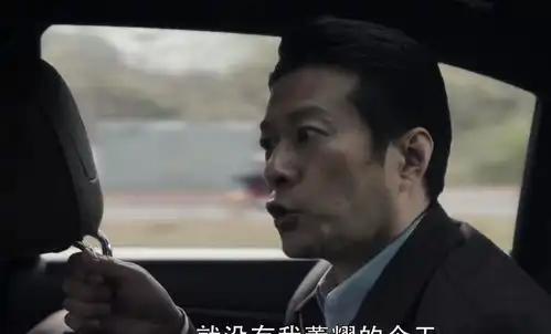 扫黑风暴李成阳一石三鸟,董耀骑虎难下,王志飞贡献教科书演技