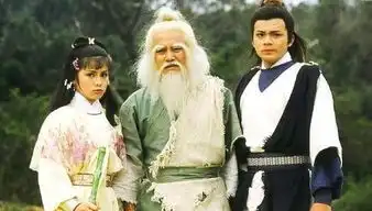 射雕英雄传83剧照杨泽霖