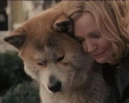 中国版忠犬八公电影官宣开机,将于年底上映,有望成为贺岁大片帕克