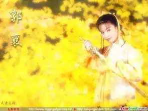 张雪迎杨幂李绮红神雕侠侣各版本郭襄pk
