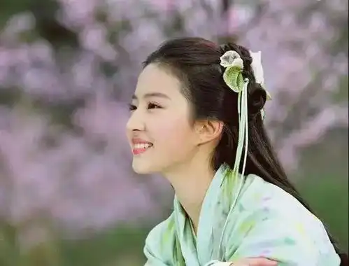 不是公主的花木兰,才是真正的刘亦菲