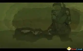 第四章第3节家园勇敢的心世界大战全关卡流程物品收集谜题解法图文攻略完结勇敢的心世界大战全关卡流程图文全攻略单机攻略