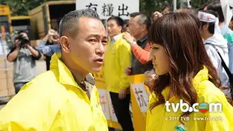 tvb台庆颁奖典礼候选剧目大名单
