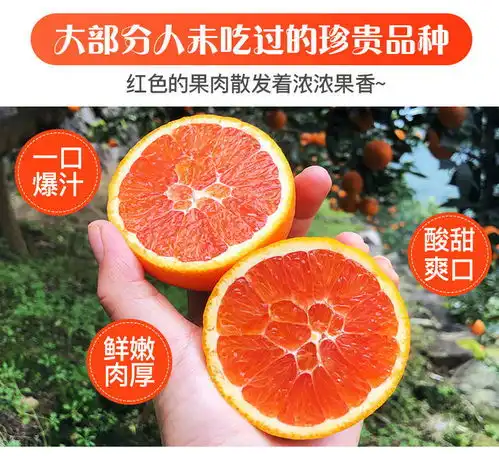 中华红橙血橙湖北秭归脐橙新鲜橙子水果当季孕妇非塔罗科
