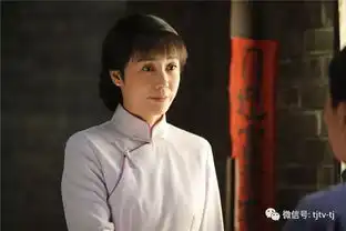 今晚1930正阳门下小女人赶走倪大红