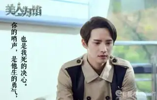 美人为馅电视剧第二季剧情介绍美人为馅一共有几季徐司白扮演者李庚是个韩国欧巴