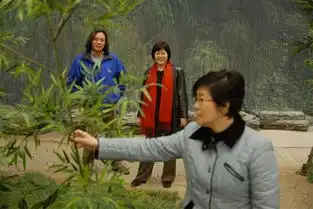 李小婉87版红楼梦当年争议也很大