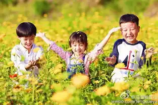 开化要火了今晚8点,在开化取景的电视剧就要开播了