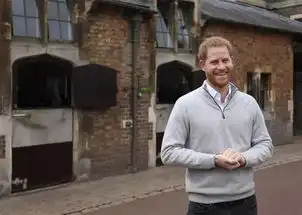 itsaboy哈里王子喜得贵子,英国王室首迎黑人血统混血小王子