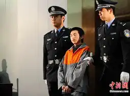 故宫大盗被判13年处罚金1.3万元