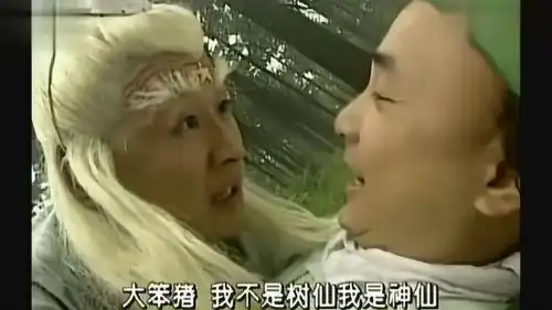 春光灿烂猪八戒神仙和猪对话,竟然还能犟嘴,太奇葩了