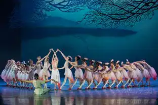 上海歌舞团舞剧朱鹮精彩演出剧照集锦7369031
