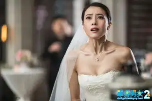 单身男女2高圆圆大婚现场飙泪