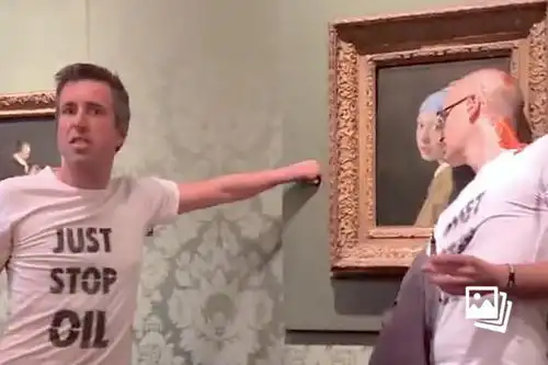 环保组织成员试图破坏戴珍珠耳环的少女被捕细数近期频频遭殃的名画