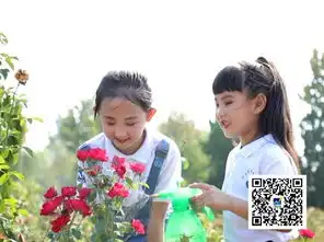 星播报小手拉大手,我爱我的家卫生县城公益活动我们小记者带着他们的作品来啦