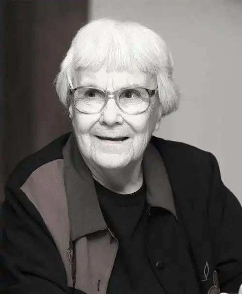 杀死一只知更鸟我能确保正直,却不能保证没有偏见
