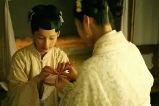 新版红楼梦的每集剧情是什么