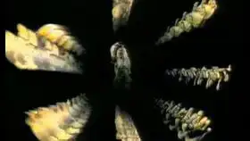 论武功我灵智上人才是天下第一,嘿嘿嘿,射雕英雄传p9金庸经典咸松轩看名著