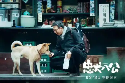 专访忠犬八公导演徐昂用中国式温情重塑经典故事
