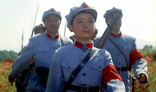 闪闪的红星主要内容是什么不多于50字
