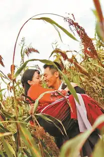 为何影视剧编剧署名五花八门