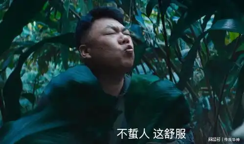 云南虫谷前有险情,后有追兵,潘粤明张雨绮虫谷大冒险
