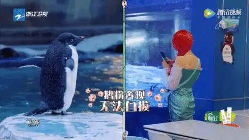 海昌海洋公园青春环游记,一起跟着春游家族打卡吧